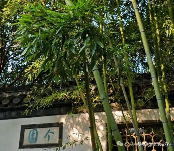 ​去了一趟江苏和浙江，实话实说：江苏人和浙江人差距确实挺大的！