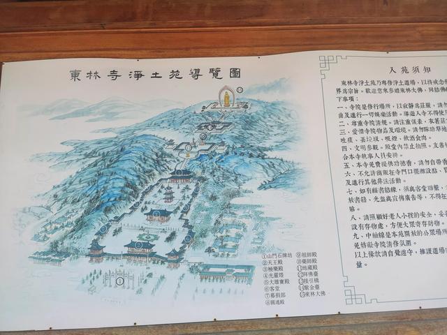 江西东林大佛旅游讲解（九江东林大佛一日游）(2)