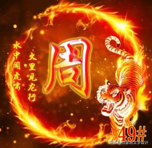 ​十七张周氏微信姓氏头像合辑