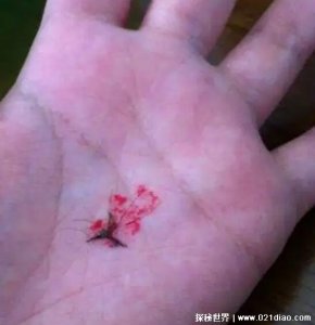 ​打死一只蚊子判几年，一般不判刑(特殊情况可能判5年以上)