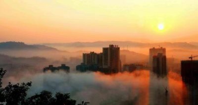 ​梵高的名作向日葵中到底有多少幅向日葵 向