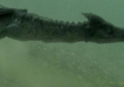 ​12亿打造的世界第一大佛，游客摸佛脚另收50元，成圈钱工具！