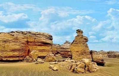 ​地球上最大最长的牛角 最大180斤最