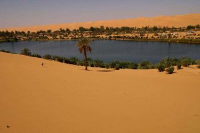 ​三角龙是这么灭绝的竟然是因为这两大致命因素