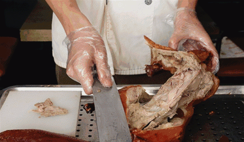 大连现在哪有卖小鸡的