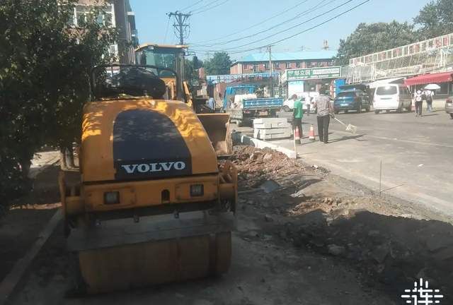 大连周边哪里有鸭子屠宰场