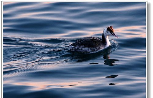 有什么事是你去了大连才知道的