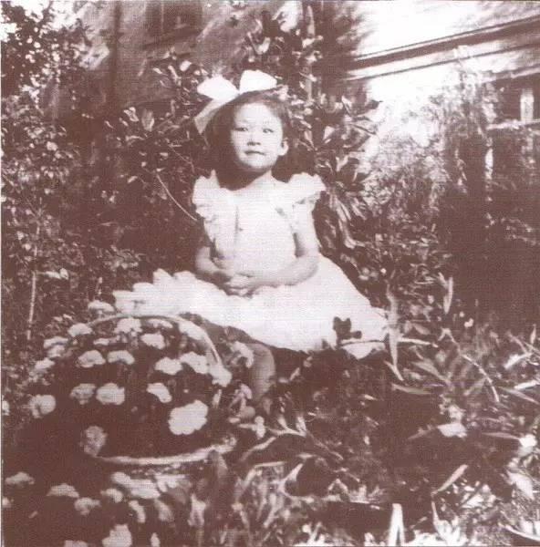 音乐史上钢琴诗人是谁（钢琴诗人顾圣婴）(5)