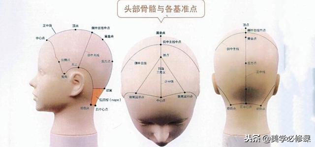 初学剪发的基础知识(学剪发必须先学会分区)(4)