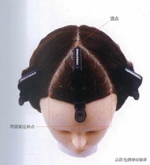 初学剪发的基础知识(学剪发必须先学会分区)(2)