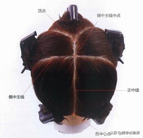 初学剪发的基础知识(学剪发必须先学会分区)(3)