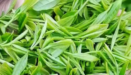 pu皮气味很重怎么去除,怎样去除pu皮上的味道图4