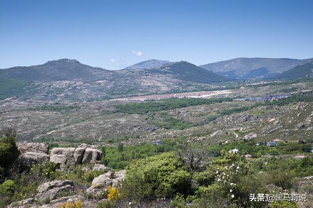 狼群咬死蒙古牧民(甘肃狼群袭击羊圈)(16)