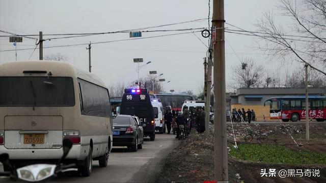狼群咬死蒙古牧民(甘肃狼群袭击羊圈)(13)