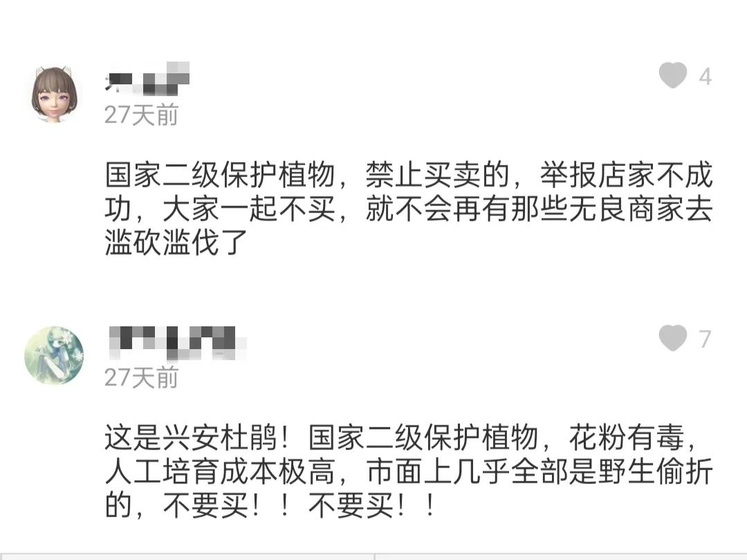 金达莱花中国叫什么花(金达莱的别名大全)