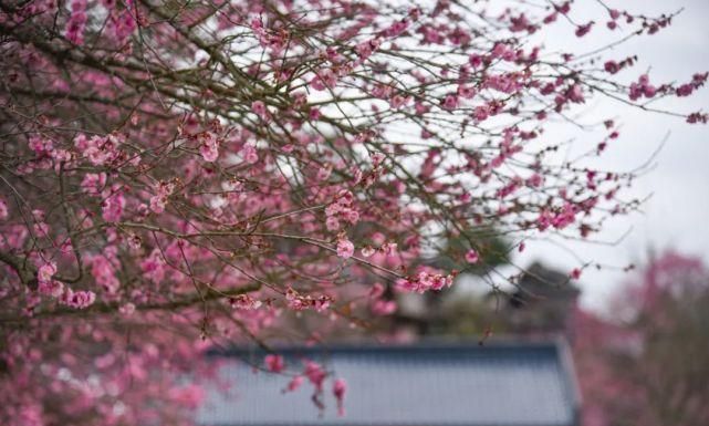 古今五大名宴是什么意思