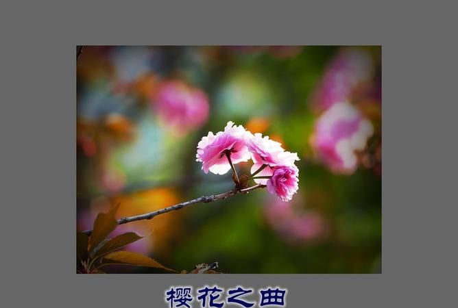 kokia ありがとう 歌词