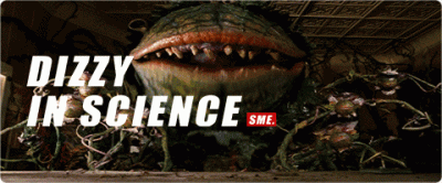 ​最可怕的野生植物大嘴花（你印象里可怕的食人花）