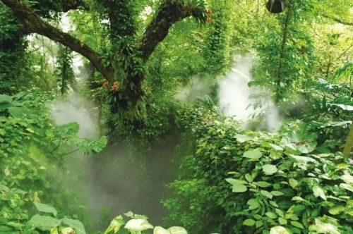 厦门万石植物园攻略一日游_厦门万石植物园营业时间-第1张图片-