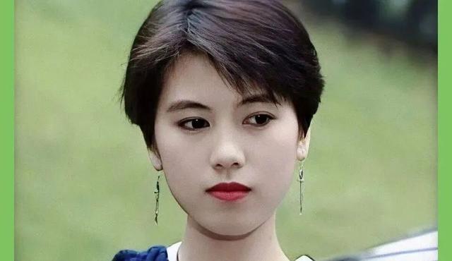 国字脸女明星发型短发（能驾驭短发造型的女星）(19)