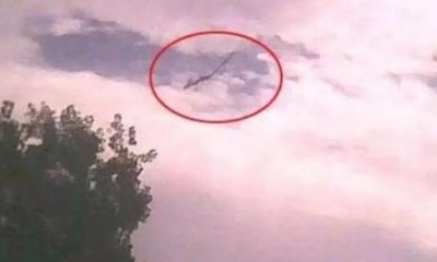 ​为什么古埃及能够修建金字塔这样的超级工程还得从一张