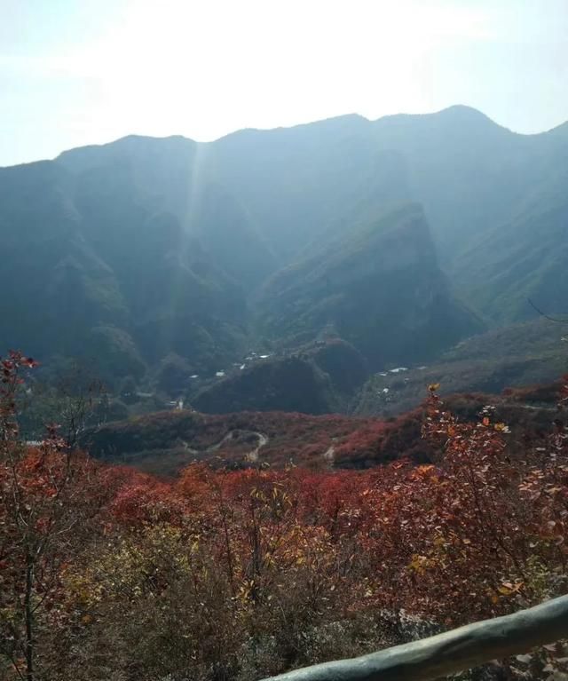 适者生存下一句,适者生存,胜过七级浮屠什么意思?图3