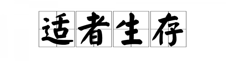 我觉得,新冠病毒,它是自然选择的结果,适者生存,大家认为呢