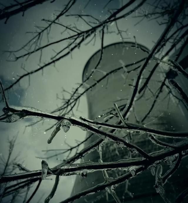 适者生存下一句,适者生存,胜过七级浮屠什么意思?图4