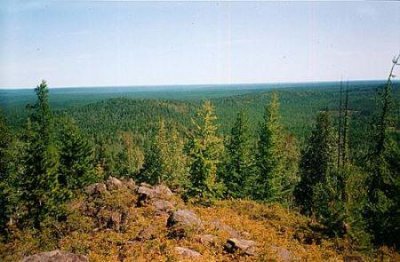 ​神奇亚特兰蒂斯究竟有多辉煌难以想象黄金修筑房屋