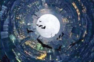 ​接吻鱼接吻鱼怎么养？最好不挑食喂啥吃啥