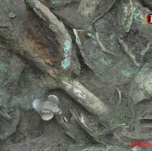 ​三星堆3号坑里的花瓣 小腿又是谁的未解之谜越来越多