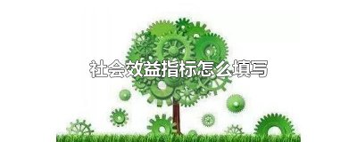 ​社会效益指标怎么填写