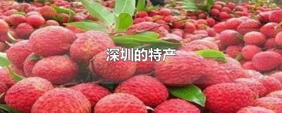 ​深圳的特产