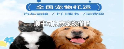 ​顺丰可以寄宠物猫吗