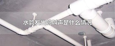 ​水管发出鸣叫声是什么情况