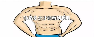 ​体脂多少才能看到腹肌