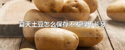 ​夏天土豆怎么保存不发绿不长牙