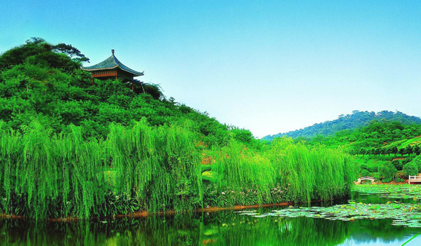 益阳特产和风景设计广告语,每个人的家乡都有许多特产你能为他们设计一条广告语吗图4