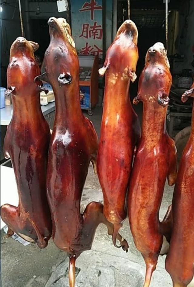 广西玉林：荔枝狗肉节来临，习俗始于明朝，网友有人赞成有人反对