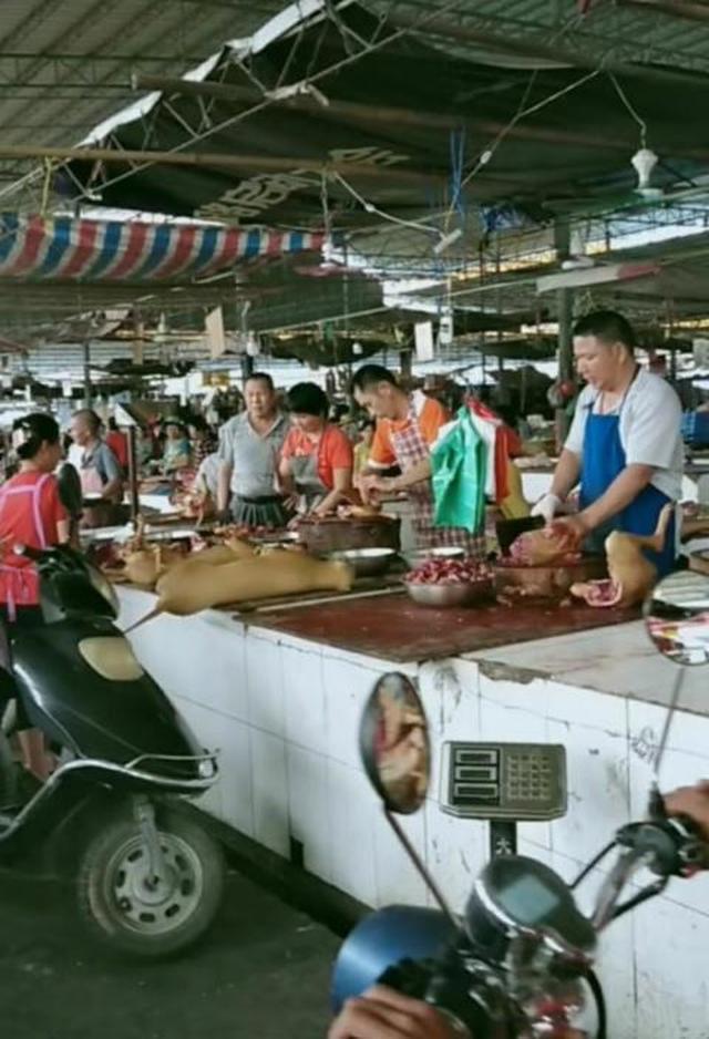 广西玉林：荔枝狗肉节来临，习俗始于明朝，网友有人赞成有人反对