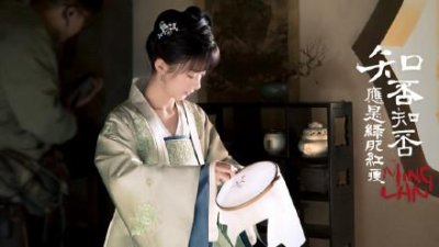 ​收视率过百亿的电视剧排行榜前十名(赵丽颖一人就占四部，不愧是收视女王)