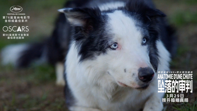 《坠落的审判》曝“失衡家庭”预告 无辜孩子成父母情感悲剧受害人