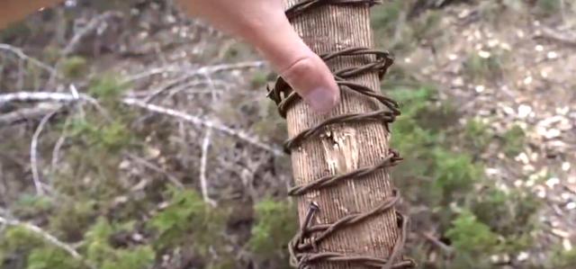 行尸走肉第7季美剧解析(行尸走肉第七季完结)(5)