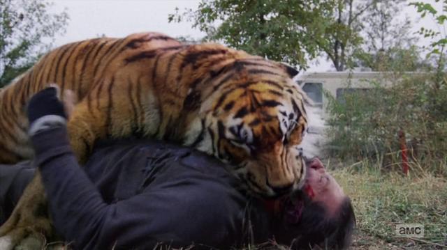 行尸走肉第7季美剧解析(行尸走肉第七季完结)(14)