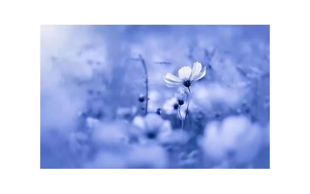 女性有什么性心理？女人性心理详细介绍