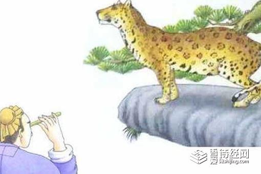 管中窥豹是什么意思