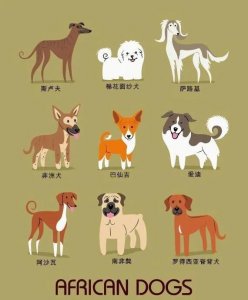 ​萌犬大全图鉴：世界上最知名的狗狗及其发源地～超可爱～