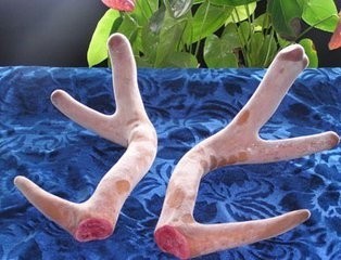 辽宁抚顺十大著名特产，你知道几个呢？