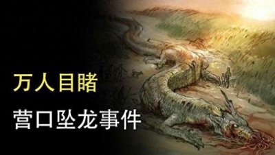 ​龙影遗骨：揭秘1934年营口坠龙事件的神秘面纱