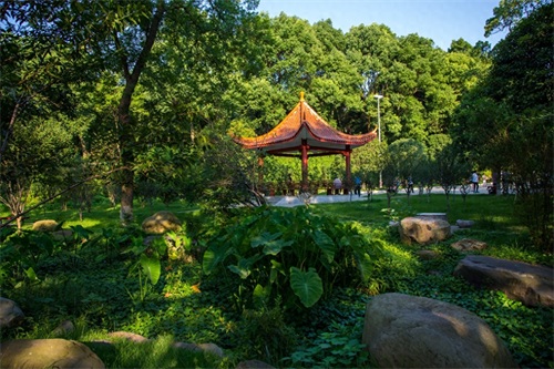 长沙烈士公园，环境好还免费，恋爱圣地：）全国十大城市公园之一